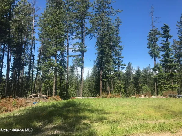 41 Quiet Hts, Athol, ID 83801