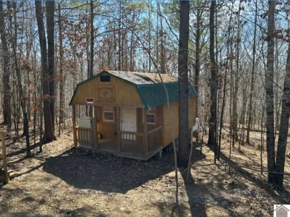 34 Jenkins Dr #222-223-226, New Concord, KY 42076