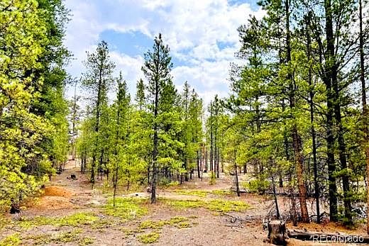2nd image of 275 Mt Elbert Drive