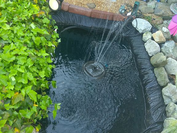 SM. POND