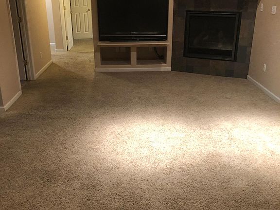 Basement / fireplace
