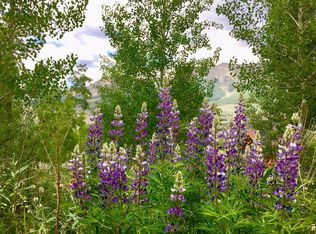 LOT 502 Russell Dr LOT 502, Telluride, CO 81435