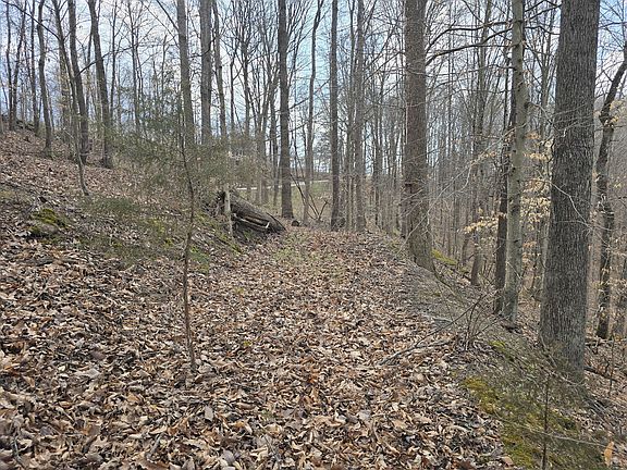 3rd image of 3 Maple Grove Rd