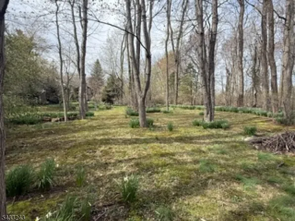 691 Ridgedale Ave, East Hanover Twp., NJ 07936