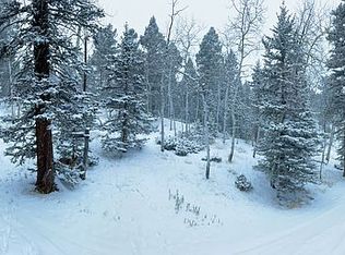 56 Lake Dr W, Divide, CO 80814