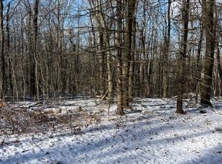 6975 Echo Mountain Rd #34, Springwater, NY 14560