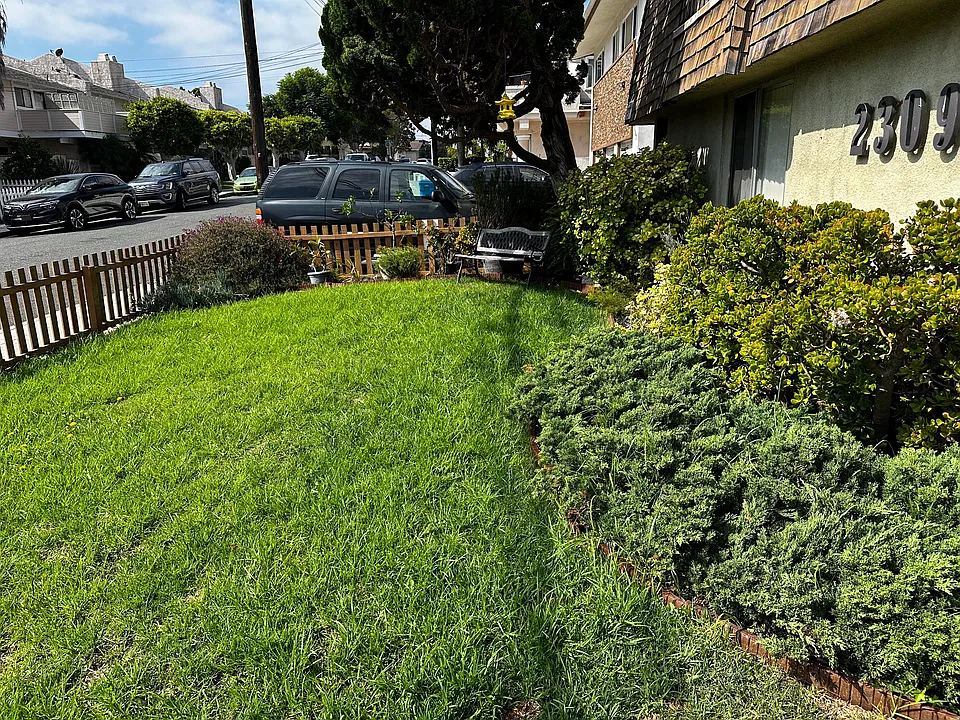 Grass ... Real Grass