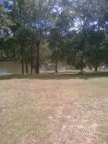 2nd image of 1133 Alden Dr