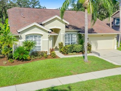 2420 Needham Dr, Valrico, FL, 33596