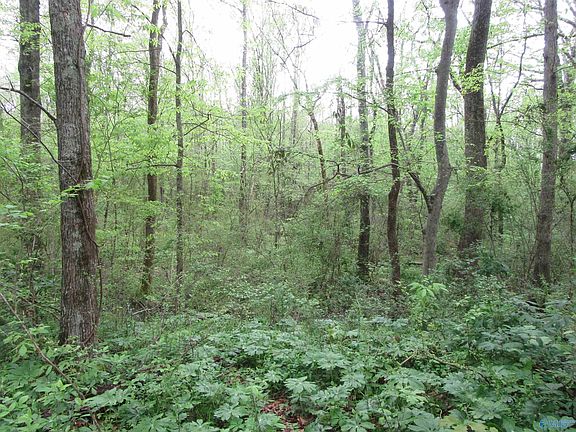 5th image of 570 County Road 319