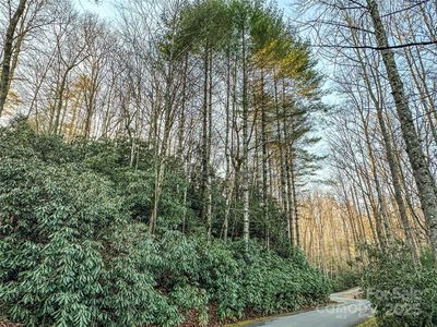 D17 Caroline Ln, Pisgah Forest, NC, 28768