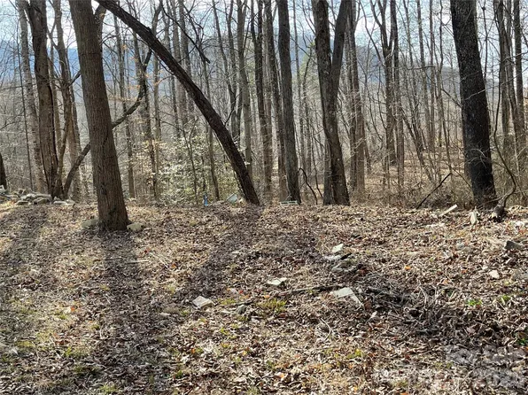 0 Max Metcalf Rd, Swannanoa, NC 28778