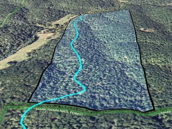 1 Off County Rd #439, Boss, MO 65440