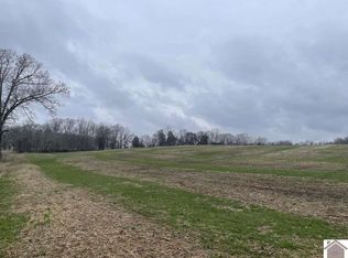 Mount Olive Church Rd, Kirksey, KY 42054