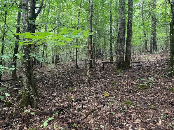 0 Olive Hill Rd, Franklin, NC 28734