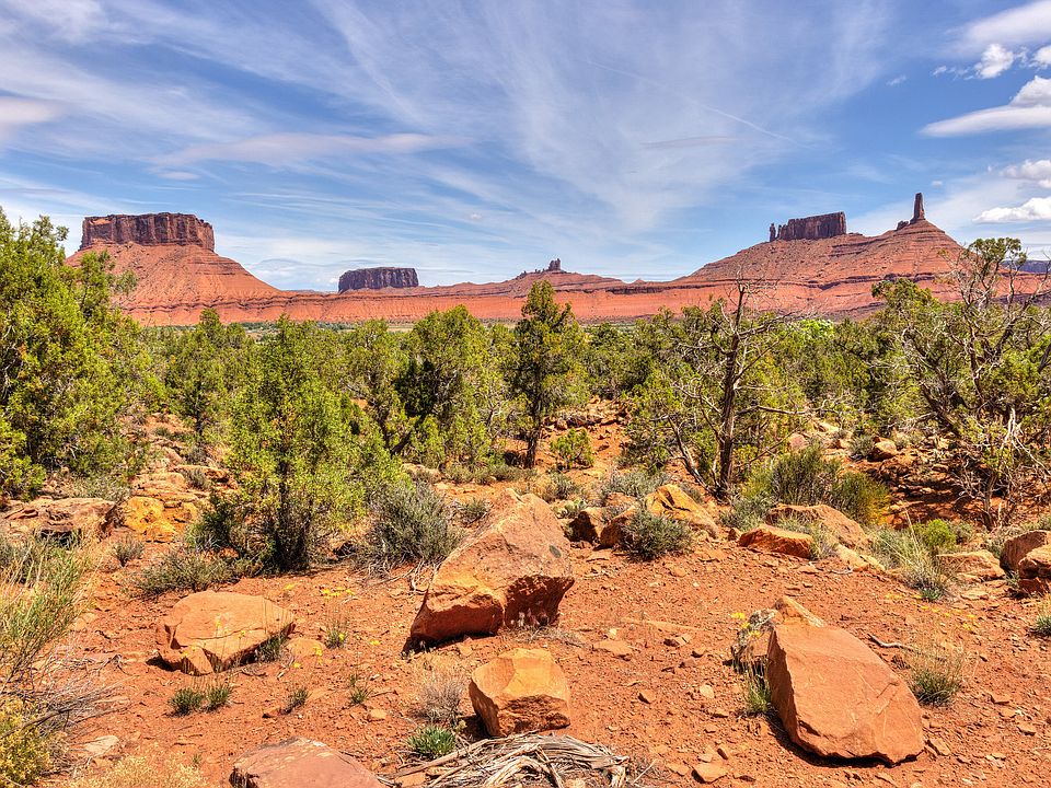 1st image of 262 Pope Ln