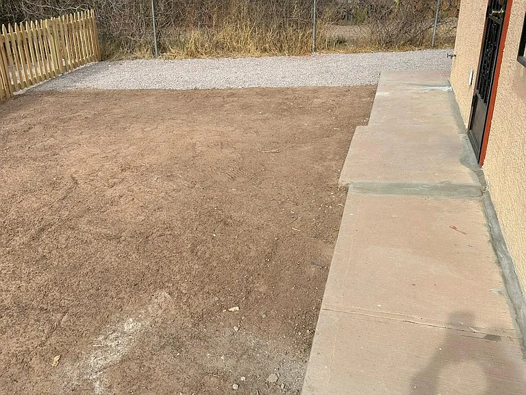 Back yard