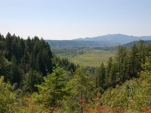 Amazing Skykomish Valley views as you drive into property