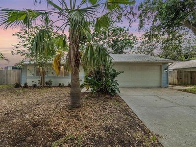 1041 Forest Grove Blvd, Palm Harbor, FL, 34683