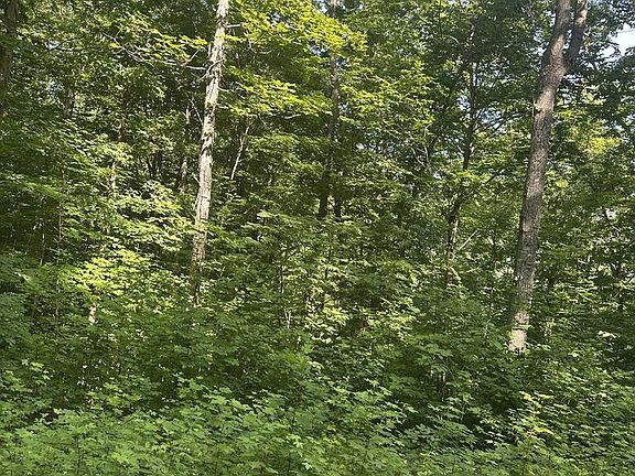 2nd image of LOT 419 Grabber Ln