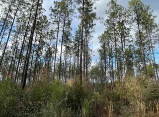 3700 Highway 168, Century, FL 32535