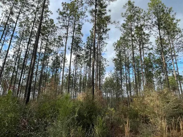3700 Highway 168, Century, FL 32535