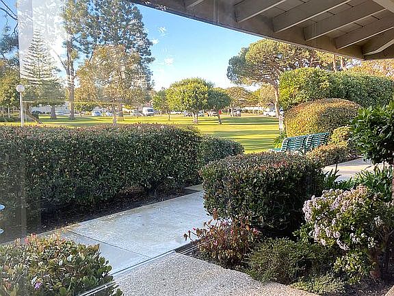 View from kitchen