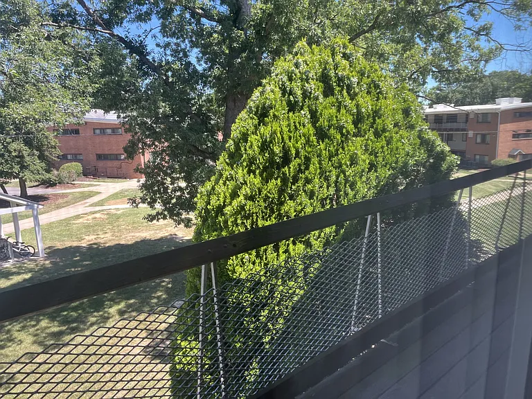 Campus Gardens — Photo 44