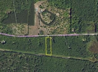 Covert Rd NE, Mancelona, MI 49659
