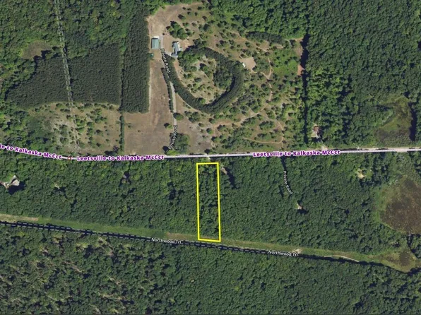 Covert Rd NE, Mancelona, MI 49659