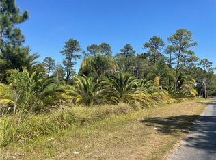 N Goodman Rd, Kissimmee, FL 34747