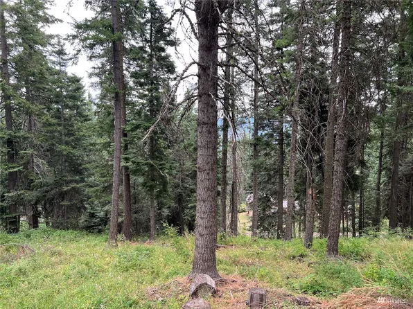 61 Microwave Rd, Cle Elum, WA 98922