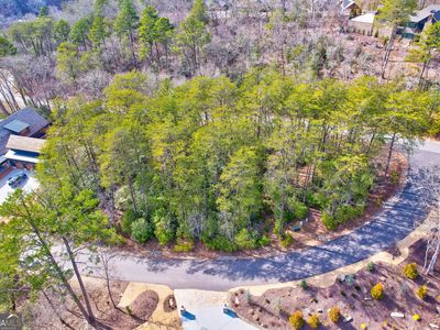 LOT 116 Old Toccoa Loop, Mineral Bluff, GA, 30559