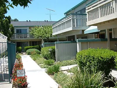 Live Oak Apartments — Photo 125