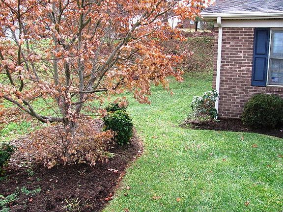 3rd image of 11 Woodglen Ct