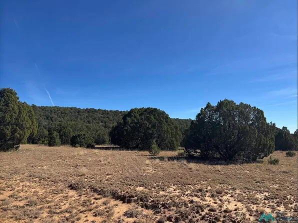 Above Serafina Rd, Serafina, NM 87569