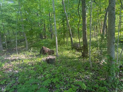 S Paradise Bay Blvd, Rockville, IN, 47872