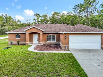 15433 Scaup Duck Ave, Weeki Wachee, FL, 34614