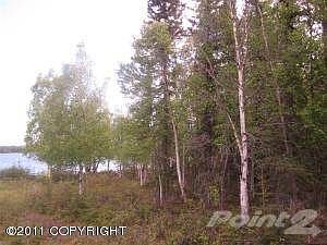 IMG_0376 (Medium)