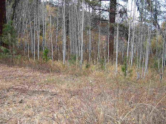 3rd image of 4036 N Elk Valley Way