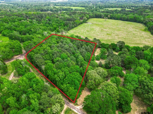 Giraffe Rd, Gilmer, TX 75644