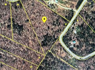 551 Tiffany Ln, Spring City, TN 37381