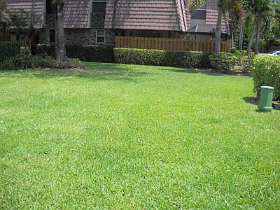 Yard outside of patio