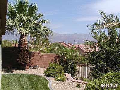 View From Rear Patio