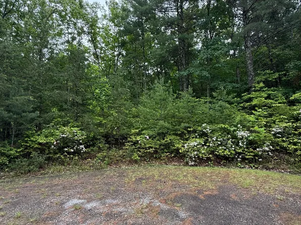 5 Galax Rd, New Castle, VA 24127