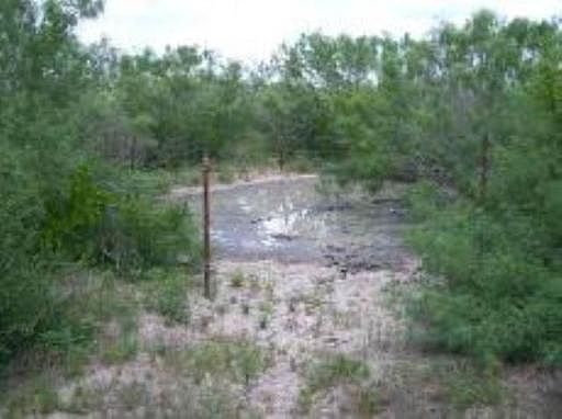 2nd image of 51 ACRES HWY 16