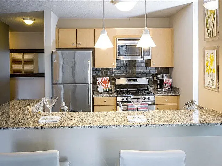 Studio, 1.0 bath, 582 sqft, $2,505 — Photo 3