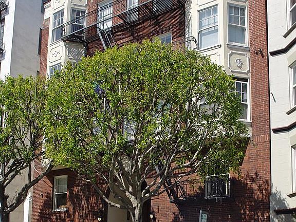 3rd image of 1441 Taylor St APT 301