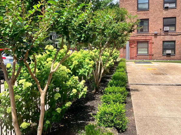 209 Clinton Avenue image 16 of 16