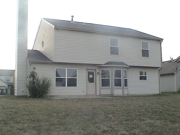 Rear view